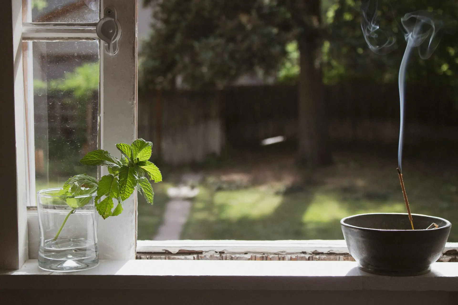 time lapse photography of incense smoke on pot